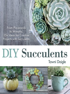 cover image of DIY Succulents